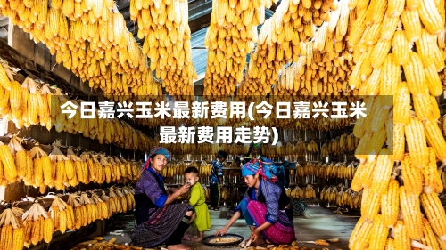 今日嘉兴玉米最新费用(今日嘉兴玉米最新费用走势)