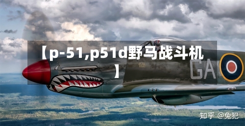 【p-51,p51d野马战斗机】