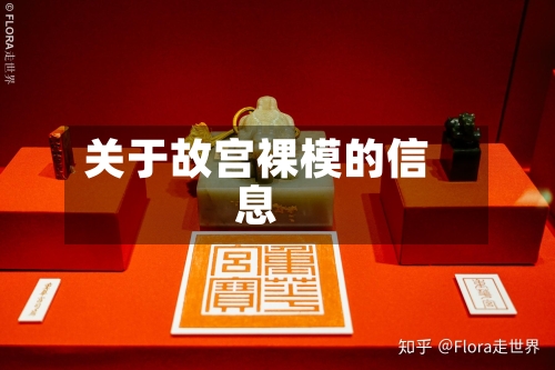 关于故宫裸模的信息