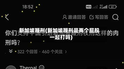 新加坡鞭刑(新加坡鞭刑是两个屁股一起打吗)-第2张图片