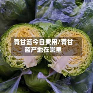 青甘蓝今日费用/青甘蓝产地在哪里-第2张图片
