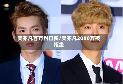 吴亦凡百万封口费/吴亦凡2000万被拒绝