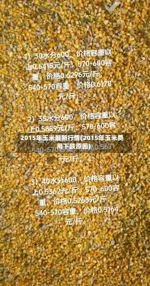 2015年玉米最新行情(2015年玉米费用下跌原因)-第3张图片
