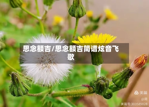 思念额吉/思念额吉简谱炫音飞歌-第3张图片