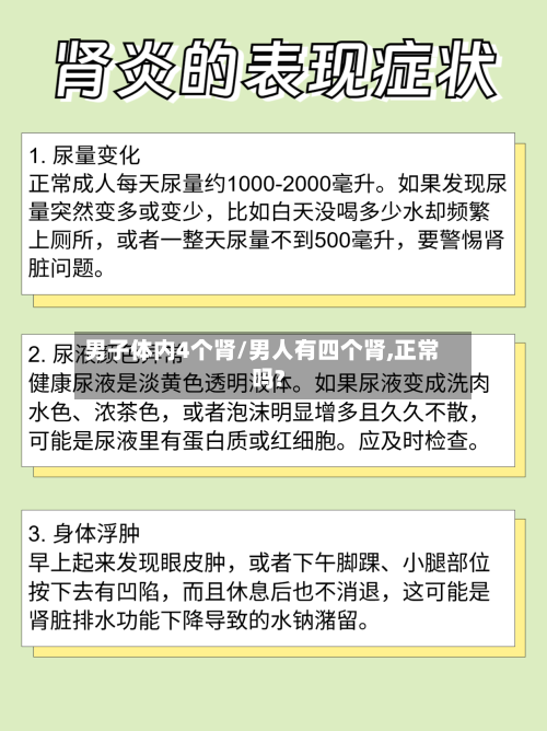 男子体内4个肾/男人有四个肾,正常吗?-第2张图片