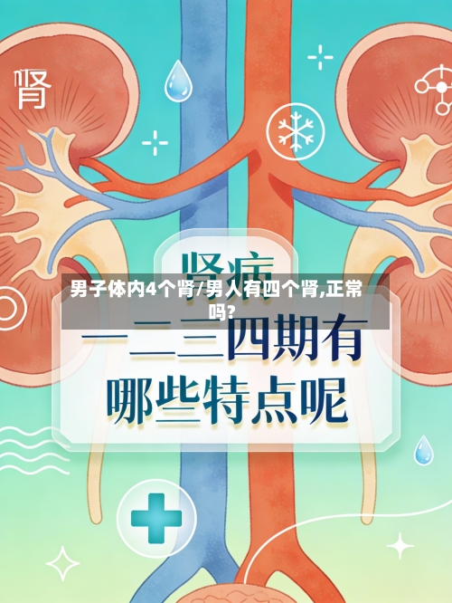 男子体内4个肾/男人有四个肾,正常吗?-第3张图片