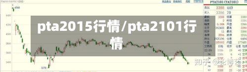 pta2015行情/pta2101行情-第3张图片