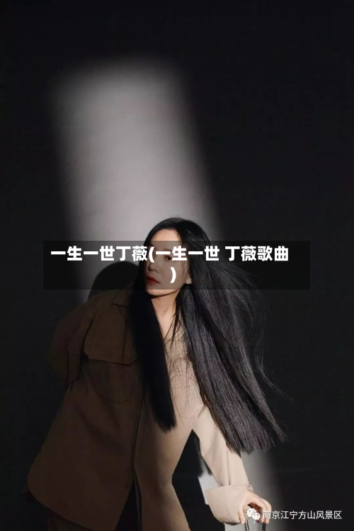 一生一世丁薇(一生一世 丁薇歌曲)-第3张图片