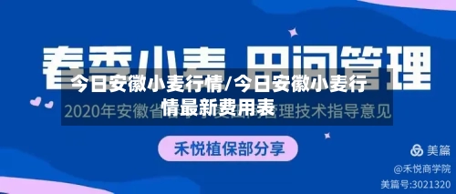 今日安徽小麦行情/今日安徽小麦行情最新费用表