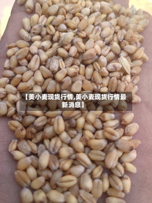 【美小麦现货行情,美小麦现货行情最新消息】