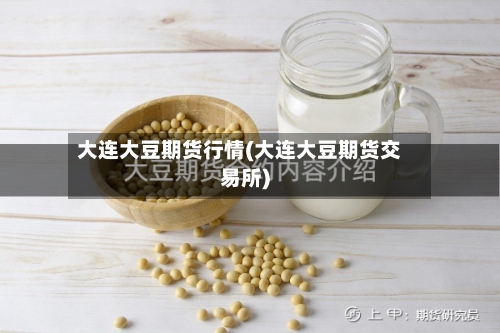 大连大豆期货行情(大连大豆期货交易所)