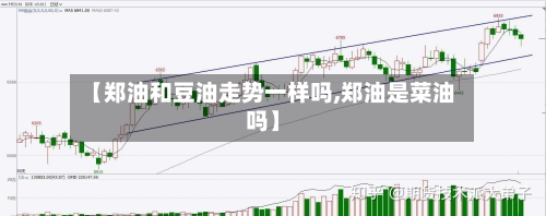 【郑油和豆油走势一样吗,郑油是菜油吗】