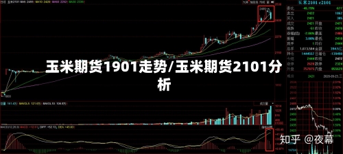 玉米期货1901走势/玉米期货2101分析