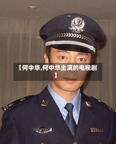 【何中华,何中华主演的电视剧】