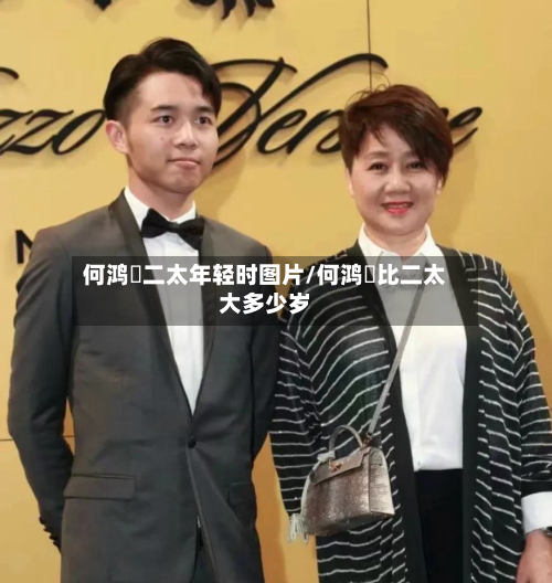 何鸿燊二太年轻时图片/何鸿燊比二太大多少岁