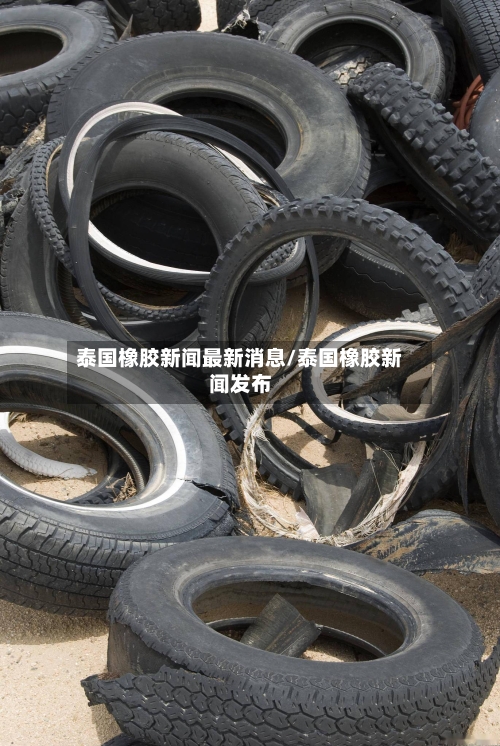 泰国橡胶新闻最新消息/泰国橡胶新闻发布-第3张图片