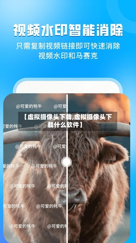 【虚拟摄像头下载,虚拟摄像头下载什么软件】-第2张图片