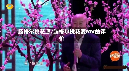 腾格尔桃花源/腾格尔桃花源MV的评价-第3张图片