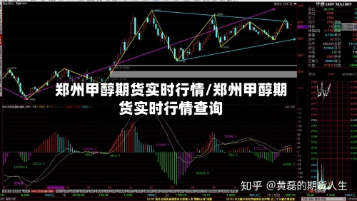郑州甲醇期货实时行情/郑州甲醇期货实时行情查询