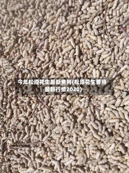今年松原花生最新费用(松原花生费用最新行情2020)