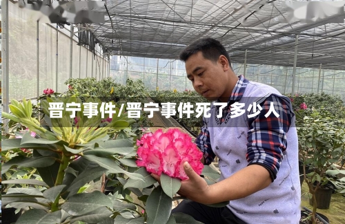 晋宁事件/晋宁事件死了多少人