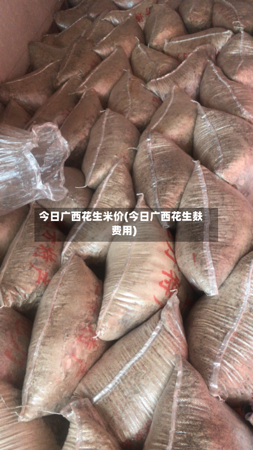 今日广西花生米价(今日广西花生麸费用)