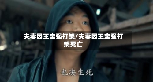 夫妻因王宝强打架/夫妻因王宝强打架死亡