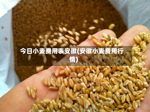 今日小麦费用表安徽(安徽小麦费用行情)-第2张图片