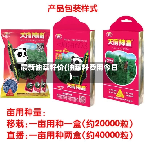 最新油菜籽价(油菜籽费用今日)-第2张图片