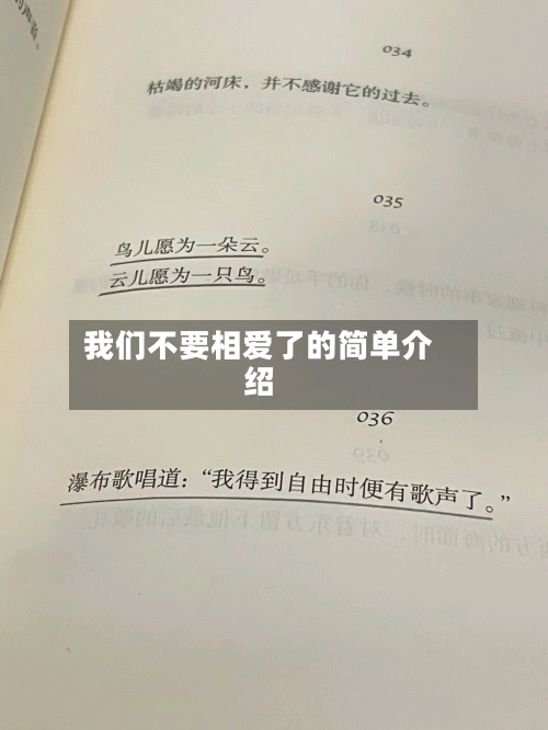 我们不要相爱了的简单介绍-第3张图片