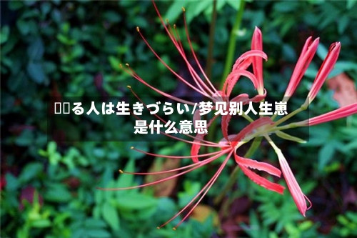 夢見る人は生きづらい/梦见别人生崽是什么意思
