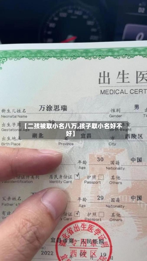 【二孩被取小名八万,孩子取小名好不好】-第2张图片