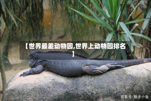 【世界最差动物园,世界上动物园排名】