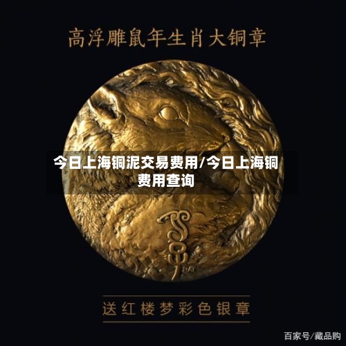 今日上海铜泥交易费用/今日上海铜费用查询