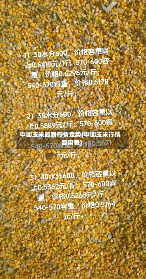 中国玉米最新行情走势(中国玉米行情费用表)