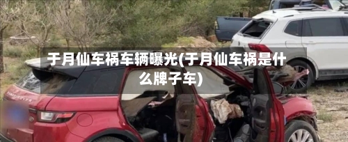 于月仙车祸车辆曝光(于月仙车祸是什么牌子车)