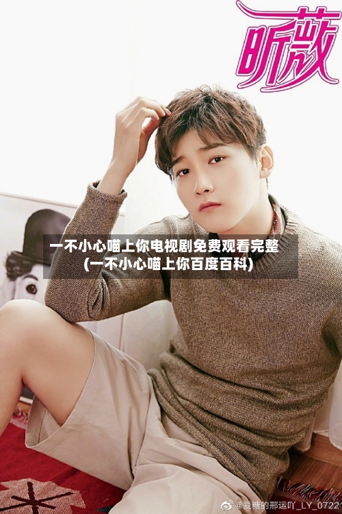 一不小心喵上你电视剧免费观看完整(一不小心喵上你百度百科)-第2张图片