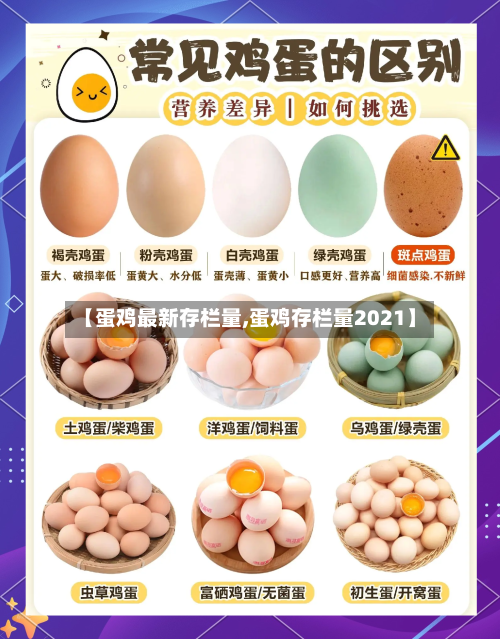 【蛋鸡最新存栏量,蛋鸡存栏量2021】-第3张图片