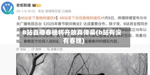 B站直播春晚将开放真弹幕(b站有没有春晚)