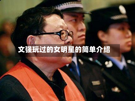 文强玩过的女明星的简单介绍