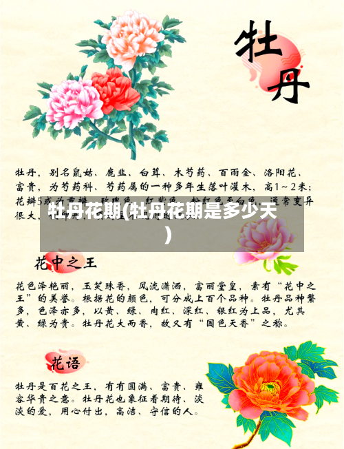 牡丹花期(牡丹花期是多少天)