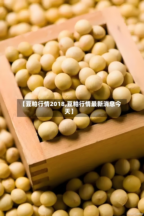 【豆粕行情2018,豆粕行情最新消息今天】