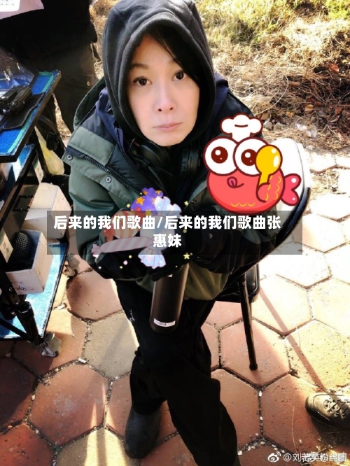 后来的我们歌曲/后来的我们歌曲张惠妹-第3张图片