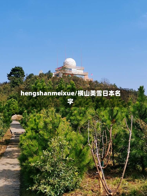 hengshanmeixue/横山美雪日本名字-第3张图片