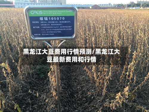 黑龙江大豆费用行情预测/黑龙江大豆最新费用和行情