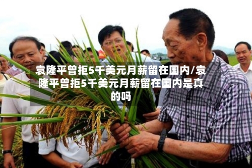 袁隆平曾拒5千美元月薪留在国内/袁隆平曾拒5千美元月薪留在国内是真的吗-第2张图片