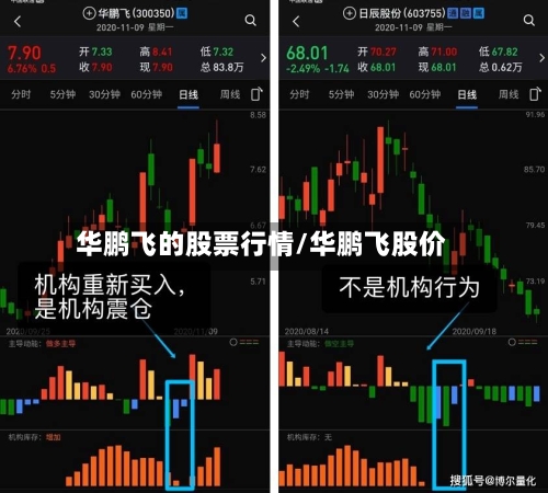 华鹏飞的股票行情/华鹏飞股价-第2张图片