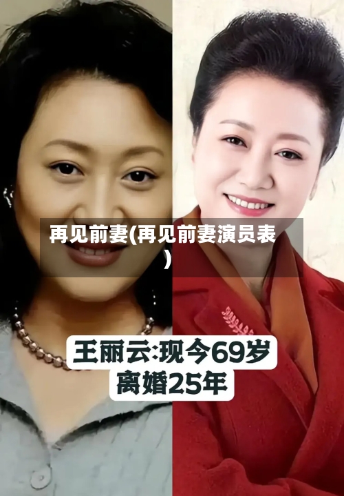 再见前妻(再见前妻演员表)