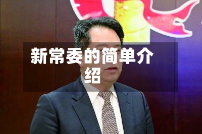 新常委的简单介绍-第2张图片