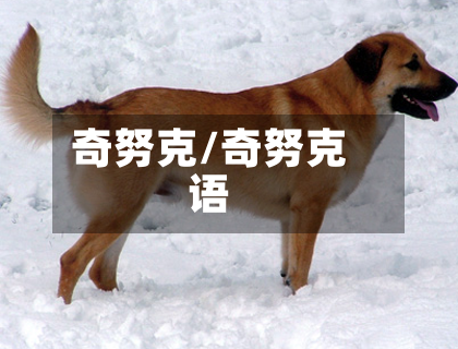 奇努克/奇努克语-第2张图片